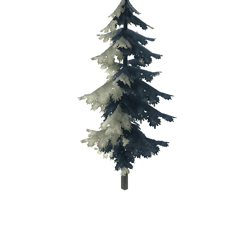 Pine Tree_02_Winter